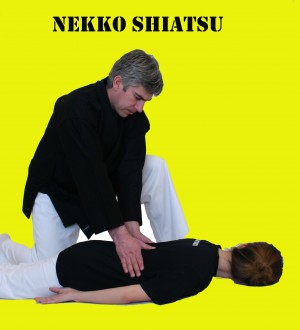  Anuncios gratis para novios en Providencia |  SHIATSU, Digitopuntura Japonesa