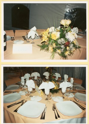 EVENTOS SIGLO XXI Anuncios gratis para novios en Talagante |  banqueter&igrave;a, c&ograve;ctel-men&ugrave; diferentes valores a&ntilde;o 2008, PRODUCCI�N / ASESORIA  EVENTOS SIGLO XXI, A&Ntilde;O 2008