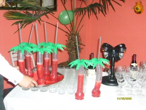 PATRICIO HERNANDEZ Anuncios gratis para novios en Quilicura |  COKTAIL A DOMICILIO, BANQUETERIA PROFECIONAL