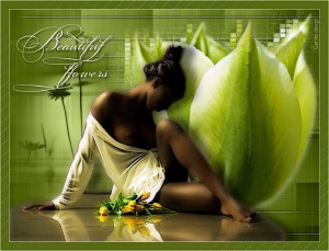 cristina Anuncios gratis para novios en Antofagasta |   &iquest;Te gustan los Perfumes? &iquest;Te gustaria comprarlos al costo?, yvescosmetics busca vendedoras por catalogo - pide tu catalogo gratis...