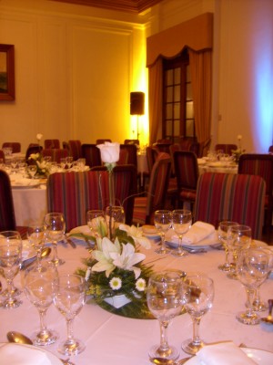 SANDRA Anuncios gratis para novios en Concepci&oacute;n |  ESPACIO FLORAL, Decoraci&oacute;n floral para matrimonios y eventos