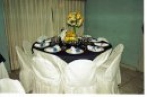 Ana Anuncios gratis para novios en San Bernardo |  Arriendo Vajilla, mobiliaria, Manteleria hasta 100 personas, ARRIENDOS A BUEN PRECIO