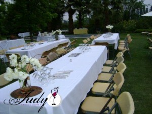 Judy Anuncios gratis para novios en Quilicura |  ARRIENDO DE VAJILLA, MESAS, SILLAS... TENEMOS TODO PARA SU FIESTA, MATRIMONIOS, BAUTIZOS, FIESTAS, EVENTOS...