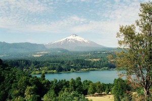 JORGE RODRIGUEZ Anuncios gratis para novios en Temuco |  ARAUCANOEVENTOS GESTION  INMOBILIARIA, VENTA DE FUNDOS  ADMINISTRACIONES