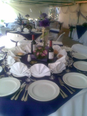 IBIS Anuncios gratis para novios en Puente Alto |  BANQUETERIA DE PRIMER NIVEL PARA TODO TIPO DE EVENTOS, SE OFRECE SERVICO DE BANQUETERIA AL MEJOR PRECIO-CALIDAD