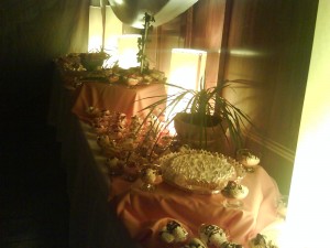 maria teresa Anuncios gratis para novios en Santiago |  banqueteria maria teresa eventos 2681366, matrimonios , eventos , coctail ,bautizos , etc. produccion completa.......