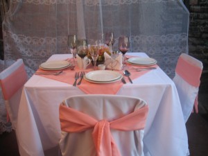 alejandra Anuncios gratis para novios en Santiago |  matrimonios, cocktel, catering, todo tipo de eventos, se realizan matrimonios, sencillos y elegantes, cotice con nosotras..