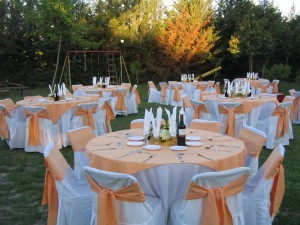 Florencia Anuncios gratis para novios en Santiago |  SERVICIO DE BANQUETERIA, Matrimonios - Bautizos - Cumplea&ntilde;os - Eventos Especiales.