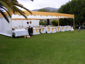 ELIZABETH ZARATE Anuncios gratis para novios en La Serena |  BANQUETERIA - EVENTOS - NOVIOS - EMPRESAS Y DECORACION, ELIZARTS PLUES EVENTOS Y DECORACION