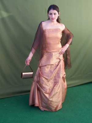 Lorena Anuncios gratis para novios en Maip&uacute; |  ARRIENDO VESTIDOS, NOVIAS, PAJES, MADRINAS, VESTIDOS DE FIESTA  7475994 , 280 HERMOSOS VESTIDOS DE FIESTA Y VESTIDOS DE NOVIA ATEN.LUNES ADOMINGO 22H