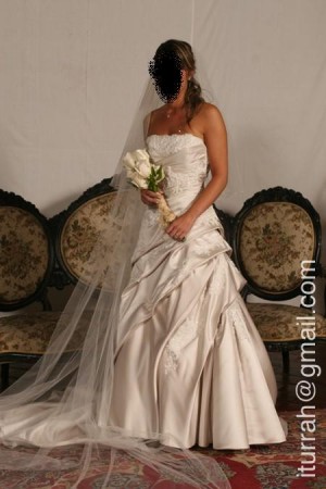 Claudia Anuncios gratis para novios en Vitacura |  Vendo vestido de novia usado, Coleccion Pronovia (Espa&ntilde;a) 2008, Maravilloso vestido, color gris perlado, talla 38 con velo largo de tul