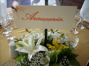 Marjorie Diaz M. Anuncios gratis para novios en Curic&oacute; |  Souvenirs y detallitos Kintu Fiestas., Todo en linea de recuerdos,accesorios y complementos para fechas especiales