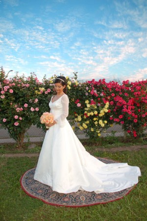 las novias Anuncios gratis para novios en Santiago |  vestidos de novia,confecci&oacute;n de vestidos para novias alta costura,madrnas., vestidos de novias ,vestidos de madrina precios convenientes,vestidos novia