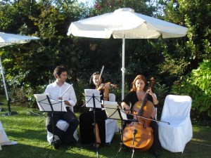 C&M Musicos Asociados producciones Instrumentales y Corales Anuncios gratis para novios en Santiago |  Grupos de Camara, Cuartetos de Cuerdas y Vientos  098002720, Grupo Camara, Grupo de Camara, Cuarteto y Trios Cuerdas, Vientos 98002720, Coro Grupo 