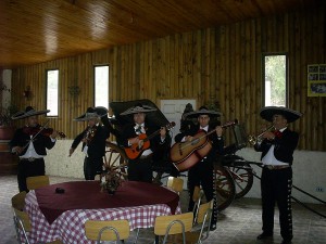julio Anuncios gratis para novios en Cerro Navia |  serenatas de mariachis para la boda, cumplea&ntilde;os, onom&aacute;sticos, santos, etc.-, ante cualquier consulta, tome contacto con los siguientes n&uacute;meros telef&oacute;nic
