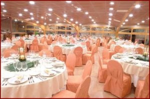  Anuncios gratis para novios en Santiago |  cocktails, servicio y banquetes. banqueteria para matrimonios, fono 6573510, banqueteria para matrimonios, cenas de gala etc 