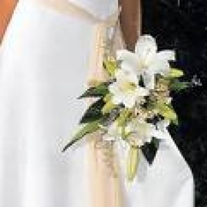 MAURICIO ROJAS Anuncios gratis para novios en Santiago |  RAMOS DE NOVIA, ARREGLOS FLORALES, CENTROS DE MESA DESPACHO A DOMCILIO, DECORACION DE MATRIMONIOS