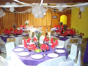 Francisca y Pablo Mi&ntilde;o Anuncios gratis para novios en Curic&oacute; |  Arriendo de Vajillas, Arriendos en Curic&oacute;