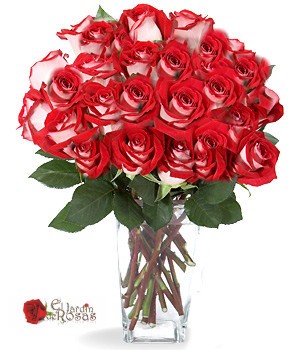 eljardinderosas Anuncios gratis para novios en Santiago |  ENVIA FINAS  ROSAS ECUATORIANAS CAJA,RAMOS,FLOREROS, DESPACHAMOS GRATIS A DOMICILIO