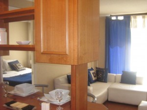 MARIA LORENA OLGUIN Anuncios gratis para novios en Santiago |  ARRIENDO DEPARTAMENTOS POR DIA, EN EL CENTRO DE SANTIAGO, DEPARTAMENTOS AMOBLADOS, EN SANTIAGO CENTRO,HERMOSOS.