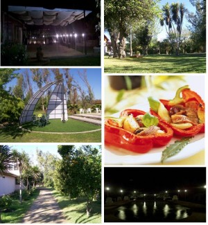 La Palma centro de eventos Anuncios gratis para novios en Talagante |  centro de eventos la palma, Matrimonios, graduaciones, asados empresas, paseos de fin de a&ntilde;o, colegios