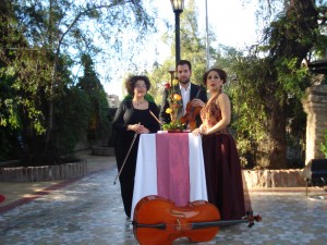 C&M Musicos Asociados Producciones Corales e Instrumentales Anuncios gratis para novios en Santiago |  Coros Civil, Coros Matrimonios Civiles, 092520393,Coro Matrimonios Civiles, Musica Cuerdas Grupos, Coros matrimonio, trio Cuerdas Matrimonios eventos