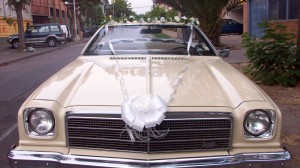 Miguel Angel Contreras Anuncios gratis para novios en Santiago |  AUTO DESCAPOTABLE PARA MATRIMONIOS DE COLECCION , MALIBU CLASSIC A&Ntilde;O 74, MARAVILLOSO, CONVERTIBLE