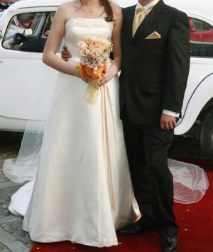 Ximena Anuncios gratis para novios en &Ntilde;u&ntilde;oa |  Hermoso vestido de novia de Jackie Cottin, Delicado y femenino