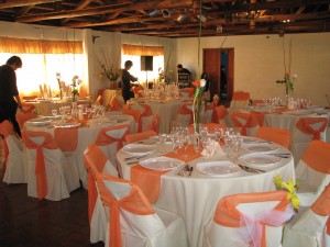 PRODUCTORA LUZ DE LUNA Anuncios gratis para novios en Santiago |  ARRIENDO VAJILLA, EVENTOS, BANQUETERIA, ARRIENDOS