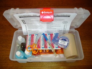 ALBERTO CABRERA Anuncios gratis para novios en Iquique |  BOTIQUINES PARA BUSES URBANOS E INTERPROVINCIALES MAXIVIT DESDE 1974, CONTIENEN 80 ELEMENTOS DESPACHOS A TODO CHILE FLETE POR PAGAR