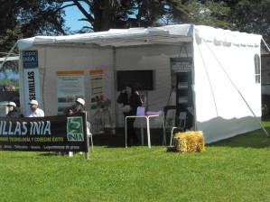 JORGE RODRIGUEZ CORTES Novios y novias en Temuco |  CARPAS Y TOLDOS  PARA EVENTOS , ARAUCANOEVENTOS  CARPAS - TOLODOS