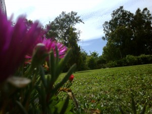 Carla Gonzalez Anuncios gratis para novios en Talagante |  ARRIENDO PARCELA PARA MATRIMONIOS, DESPEDIDAS, CUMPLEA&Ntilde;OS, EVENTOS ETC, Areas verdes, piscina, quincho, parrilla, cancha,baby futbol, juegos, ba&ntilde;os