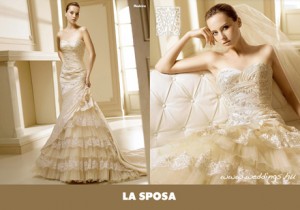 Carolina P. Novios y novias en Providencia |  Vestido de novia La Sposa modelo Madeira, Sólo 1 uso, está impecable