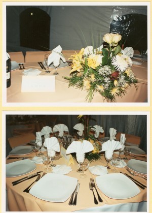 VIVIANA  EVENTOS  Anuncios gratis para novios en Santiago |  servicio de banqueteria para matrimonios, banqueteros ,banquetes , FONO 02-6573510  02-6573511
