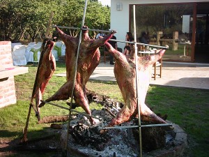  Luis sepulveda p  Novios y novias en Maipú |  LUSEPE EVENTOS BANQUETERIA ,  matrimonios,cocktail, asados campestres ,corderitos al  a leña 