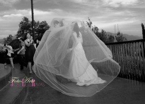 Jose Luis Rivas Freire Novios y novias en Maipú |  Fotografía Matrimonios, Jose Luis Rivas Freire, Matrimonios, Eventos, Embarazadas, Retratos, Casting y otros