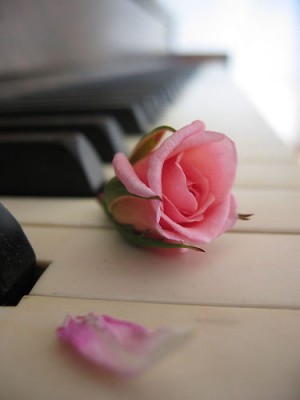SANTIAGOARTE  Anuncios gratis para novios en Santiago |  CORO MATRIMONIOS CASANOVIOS SANTIAGOARTE MUSICOS ORQUESTA GUITARRA TECLADO , ------------- CONTACTO  07 - 7955686 --------- info@santiagoarte.cl -------