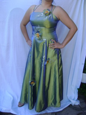 Alicia Mel&egrave;ndez Anuncios gratis para novios en Puente Alto |  Vestido de Fiesta Talla 40, S&ograve;lo una postura $35.000 pesos.