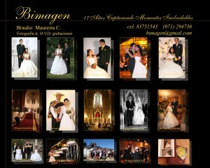 Braulio Anuncios gratis para novios en Talca |   Fotograf&iacute;a Profesional, Fotograf&iacute;a - Grabaci&oacute;n en DVD - Fotos Estudio - Marcos para Licenciaturas