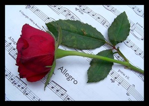 SantiagoArte 07 7955686 Novios y novias en Providencia |  coro musicos piano violin soprano oboe matrimonios eventos experiencia, santiagoarte animadores partes de matrimonio cantantes liricos coros