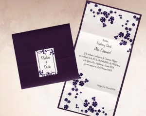 Daniela Postigo Anuncios gratis para novios en Santiago |  Partes de Matrimonio, Dise&ntilde;os Exclusivos