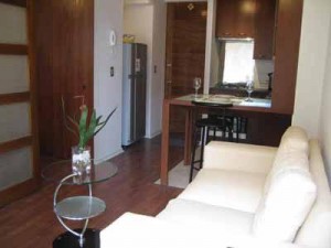 HOMECHILE Novios y novias en Providencia |  DEPARTAMENTO AMOBLADO EN ARRIENDO, PROVIDENCIA, LAS CONDES, SANTIAGO