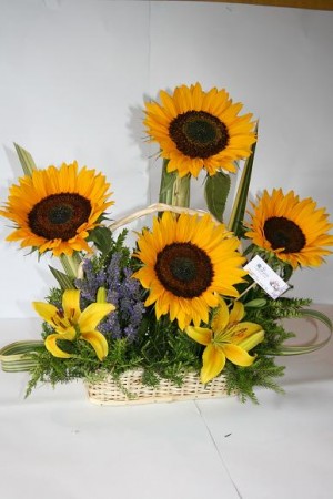 Jaime Aguayo Anuncios gratis para novios en Valdivia |  Piwkeyewun, Piwkeyewun.Detalles ,que dejan huellas