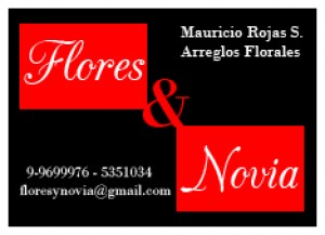 MAURICIO ROJAS Novios y novias en Santiago |  MAURICIO ROJAS, ARREGLOS FLORALES, RAMOS NOVIA,  DESPACHO DOMICILIO, CAMINOS DE LUZ, CENTROS DE MESA, ATRILES, PEDESTALES