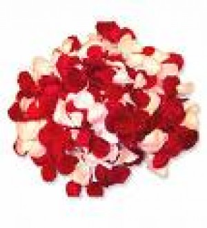 Beatriz Mardones Anuncios gratis para novios en Maip&uacute; |  PETALOS DE ROSAS en conitos de papel, Elegante y delicado detalle para tu fiesta