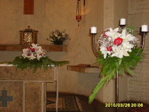 MAURICIO ROJAS Anuncios gratis para novios en Santiago |  MAURICIO ROJAS, RAMOS NOVIAS, ARREGLOS FLORALES, DESPACHO DOMICILIO, ARCO FLORES, CENTROS DE MESA, CAMINOS DE LUZ, PEDESTALES, ATRILES