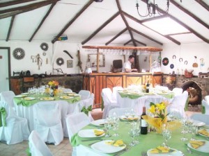 CLAUDIA CANO Anuncios gratis para novios en Santiago |  Banqueteria BlueMoon Matrimonios Bautizos Cenas C&oacute;ctel, Realizamos Eventos en General Contamos con diversos Packs completos